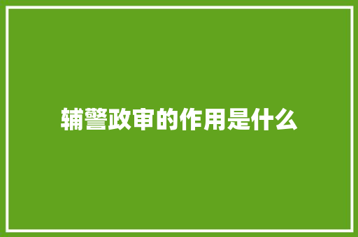 辅警政审的作用是什么 未命名