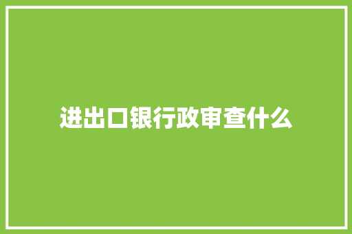 进出口银行政审查什么