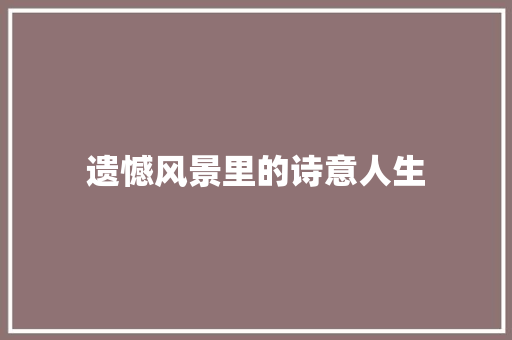 遗憾风景里的诗意人生