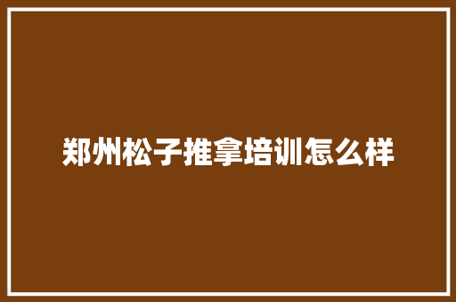 郑州松子推拿培训怎么样