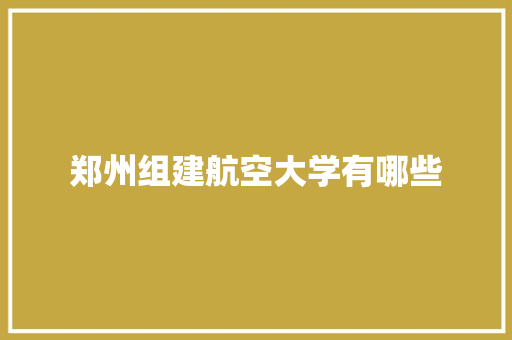 郑州组建航空大学有哪些 未命名