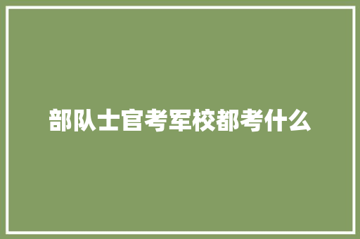 部队士官考军校都考什么 未命名