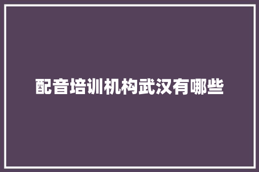 配音培训机构武汉有哪些