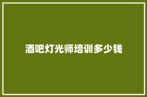 酒吧灯光师培训多少钱