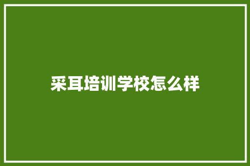 采耳培训学校怎么样 未命名