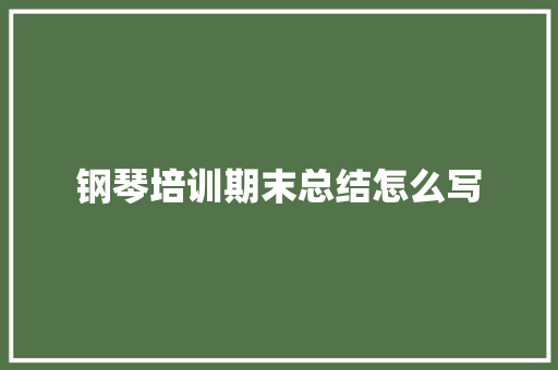 钢琴培训期末总结怎么写 未命名