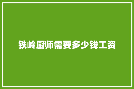 铁岭厨师需要多少钱工资