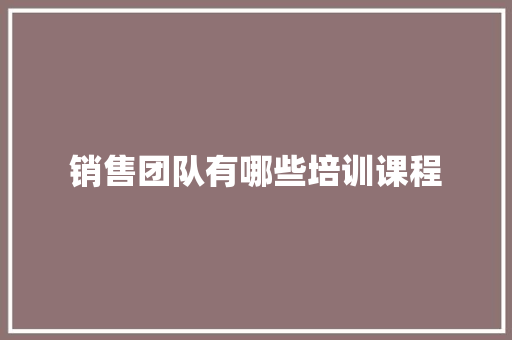 销售团队有哪些培训课程