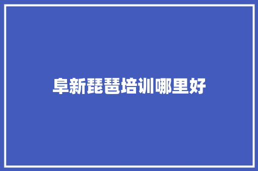 阜新琵琶培训哪里好