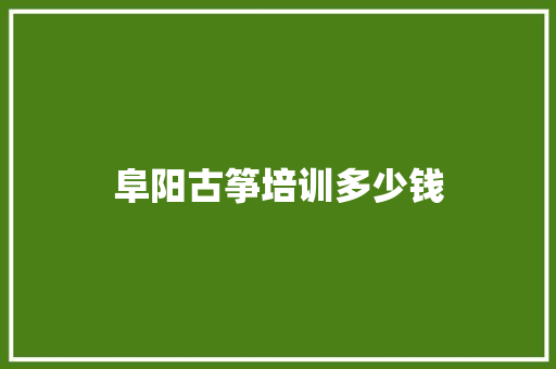 阜阳古筝培训多少钱