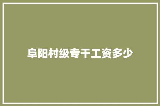 阜阳村级专干工资多少 未命名