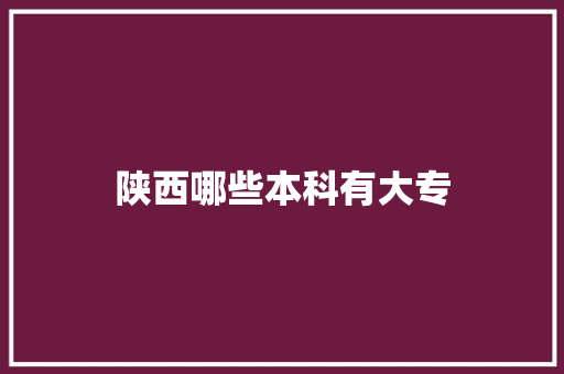 陕西哪些本科有大专