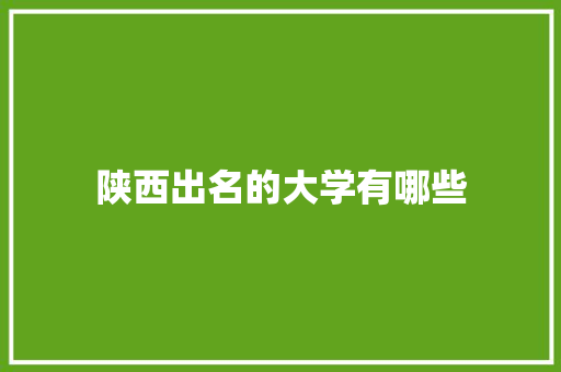 陕西出名的大学有哪些