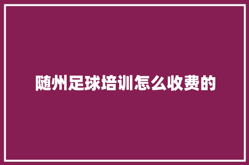 随州足球培训怎么收费的