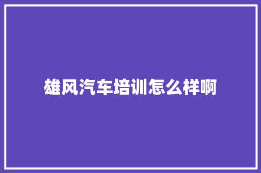 雄风汽车培训怎么样啊 未命名