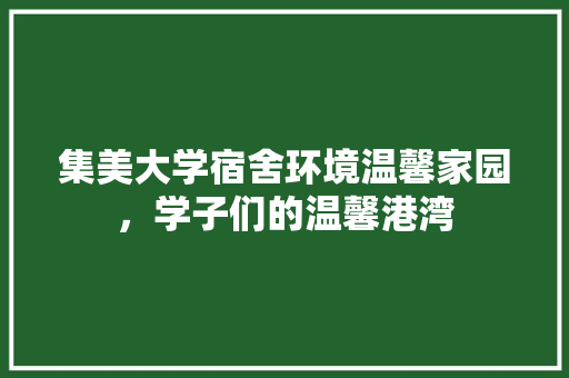 集美大学宿舍环境温馨家园，学子们的温馨港湾 未命名