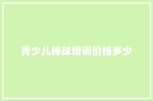 青少儿棒球培训价格多少