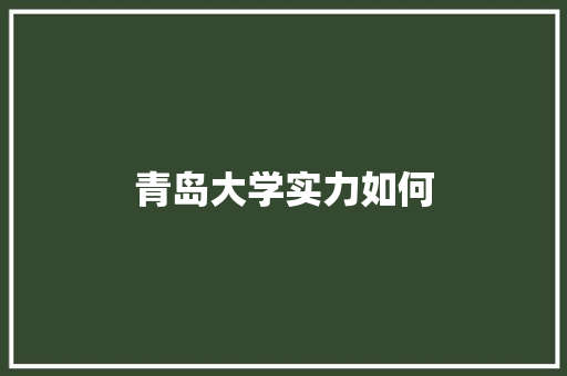 青岛大学实力如何 未命名