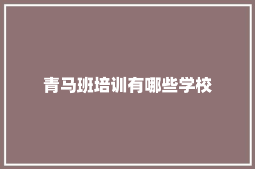 青马班培训有哪些学校 未命名