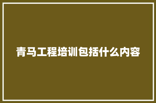 青马工程培训包括什么内容