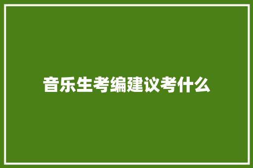 音乐生考编建议考什么