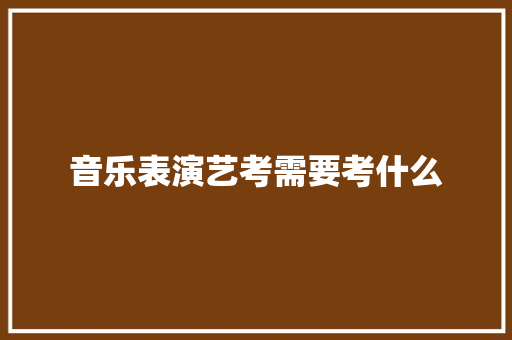 音乐表演艺考需要考什么 未命名