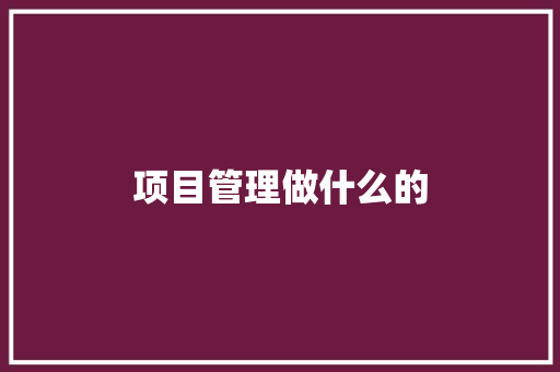 项目管理做什么的 未命名