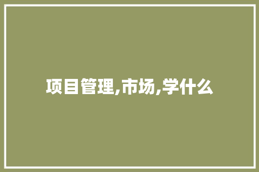 项目管理,市场,学什么 未命名