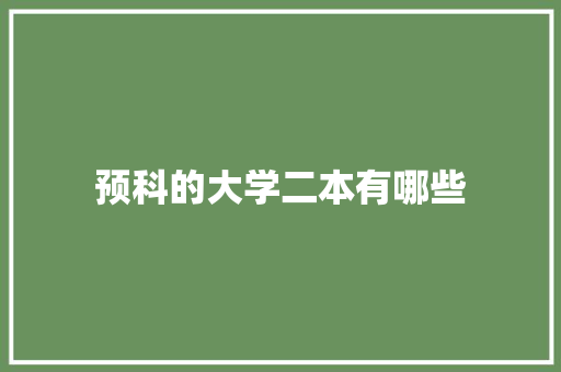 预科的大学二本有哪些