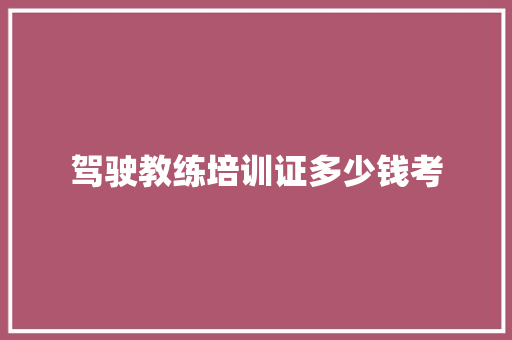 驾驶教练培训证多少钱考