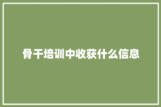 骨干培训中收获什么信息