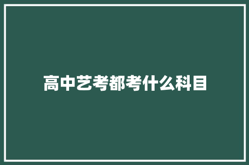 高中艺考都考什么科目