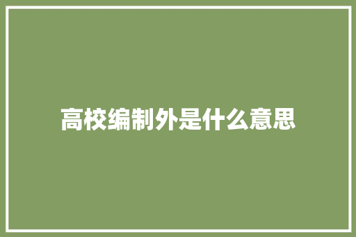 高校编制外是什么意思 未命名