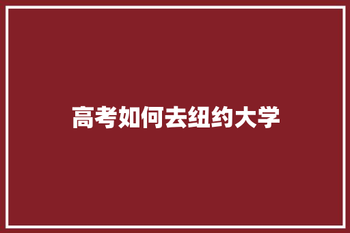 高考如何去纽约大学