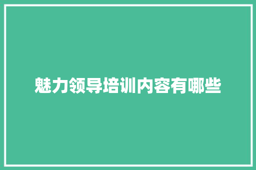 魅力领导培训内容有哪些