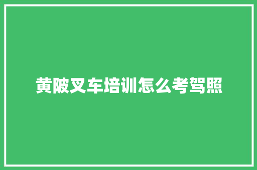 黄陂叉车培训怎么考驾照