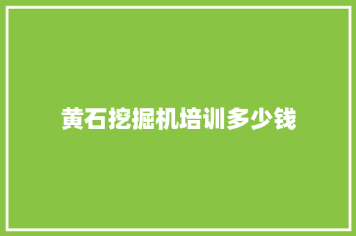 黄石挖掘机培训多少钱