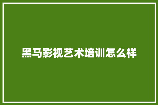 黑马影视艺术培训怎么样