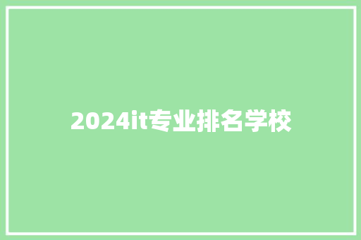 2024it专业排名学校