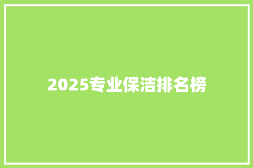 2025专业保洁排名榜