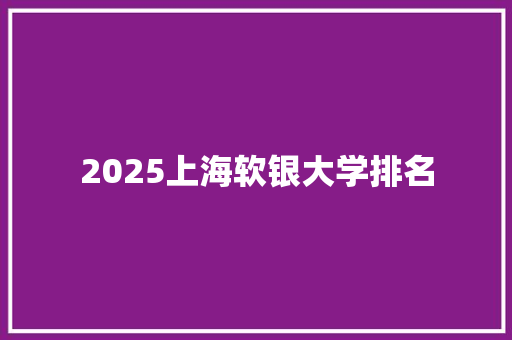 2025上海软银大学排名