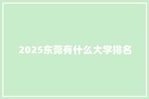 2025东莞有什么大学排名