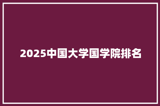 2025中国大学国学院排名