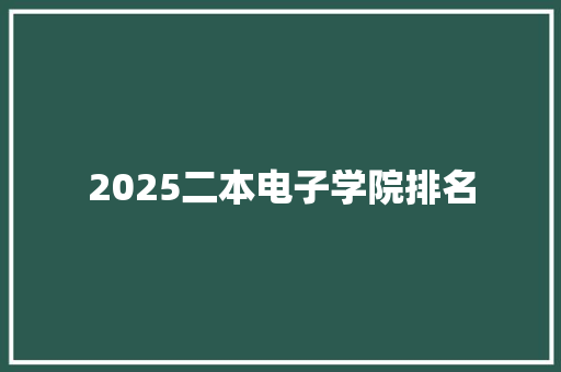 2025二本电子学院排名