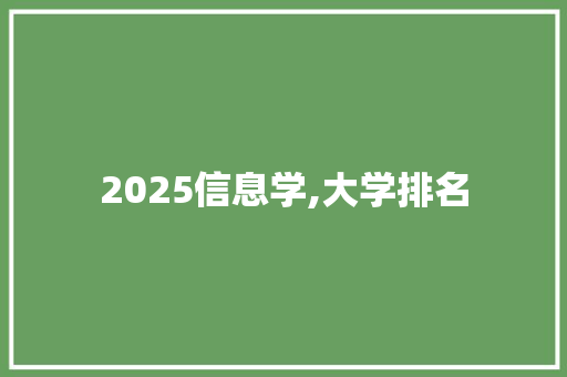 2025信息学,大学排名