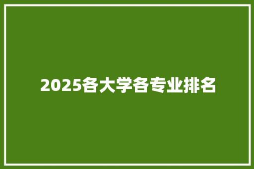 2025各大学各专业排名