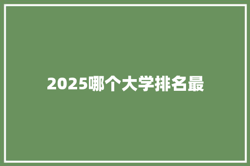 2025哪个大学排名最 未命名