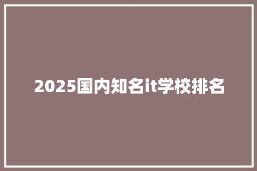 2025国内知名it学校排名 未命名