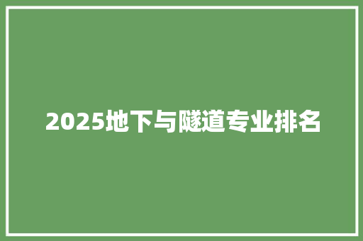 2025地下与隧道专业排名