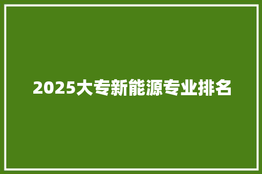 2025大专新能源专业排名